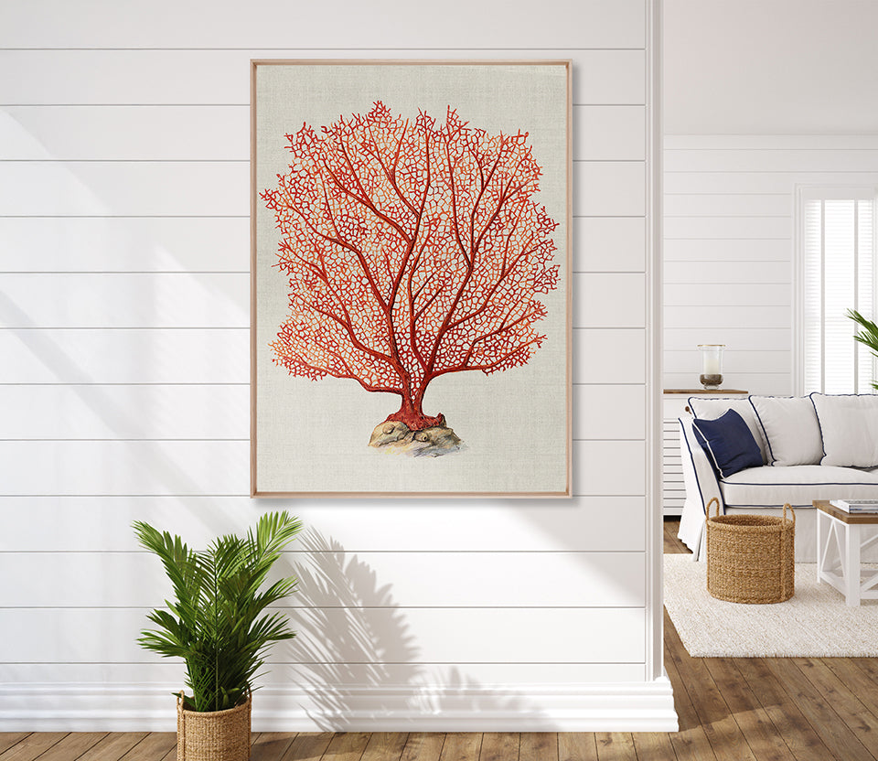 Coral Splendour (Red) IV (Canvas)