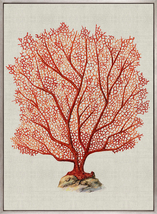 Coral Splendour (Red) IV (Canvas)