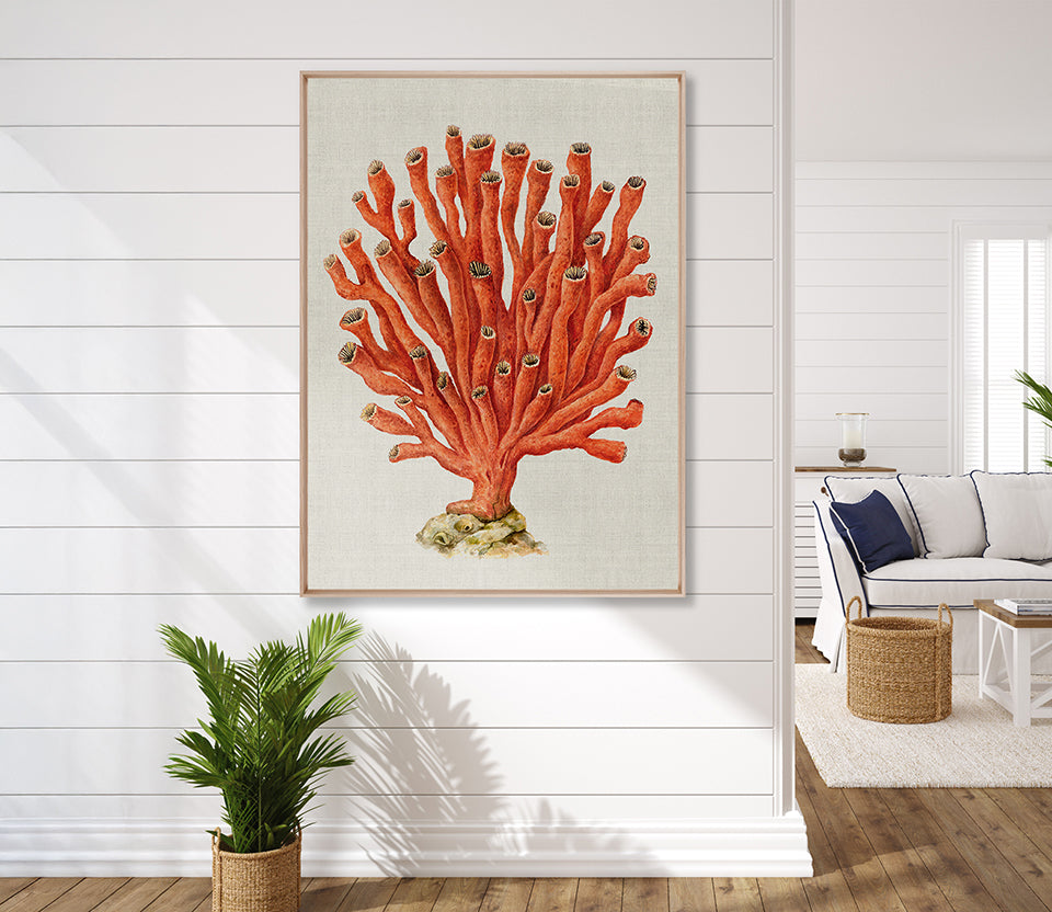 Coral Splendour (Red) V (Canvas)