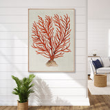 Coral Splendour (Red) VI (Canvas)