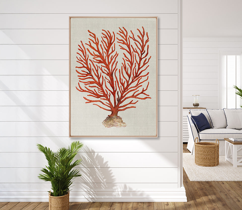 Coral Splendour (Red) VI (Canvas)