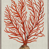 Coral Splendour (Red) VI (Canvas)