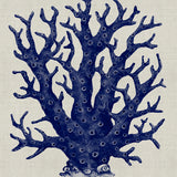 Coral Splendour (Indigo) VII (Canvas)