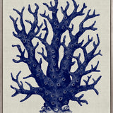 Coral Splendour (Indigo) VII (Canvas)