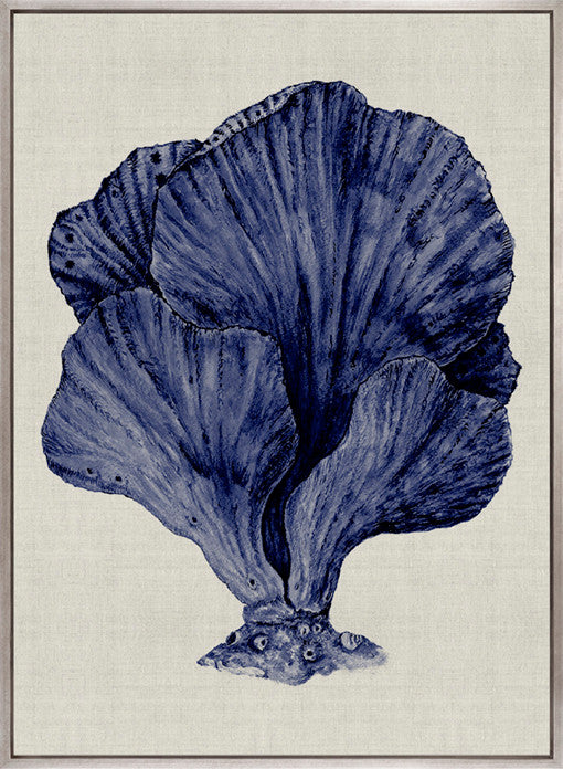 Coral Splendour (Indigo) VIII (Canvas)