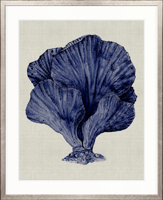 Coral SPLENDOUR (Indigo) VIII