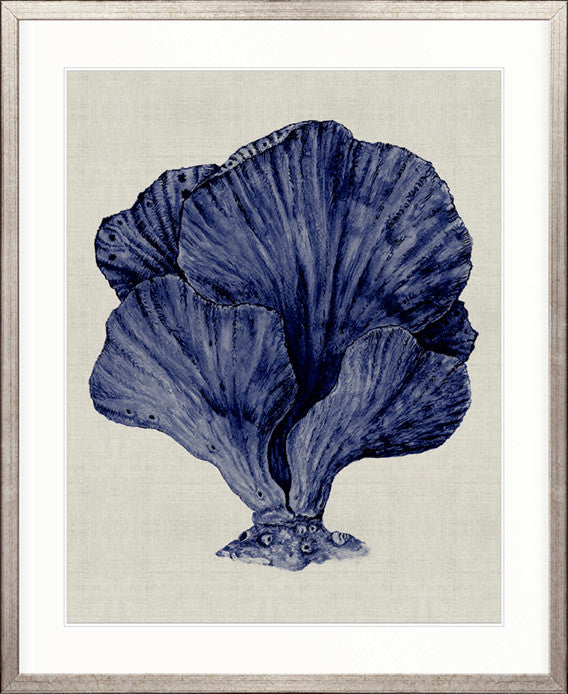 Coral SPLENDOUR (Indigo) VIII