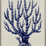 Coral Splendour (Indigo) IX (Canvas)