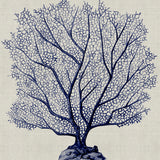 Coral SPLENDOUR (Indigo) X