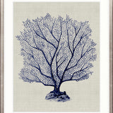 Coral SPLENDOUR (Indigo) X