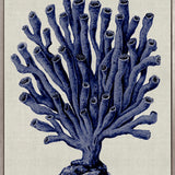 Coral Splendour (Indigo) XI (Canvas)