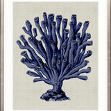Coral SPLENDOUR (Indigo) XI