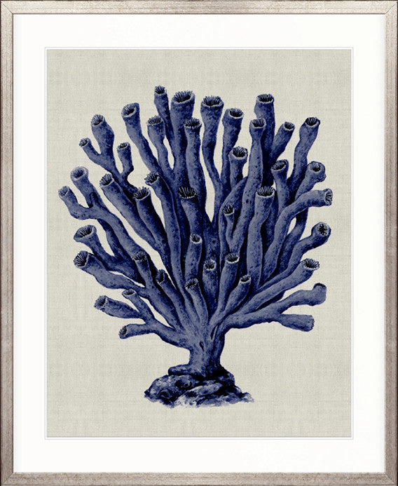 Coral SPLENDOUR (Indigo) XI