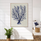 Coral Splendour (Indigo) XII (Canvas)
