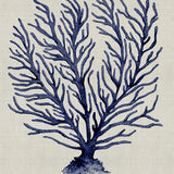Coral Splendour (Indigo) XII (Canvas)