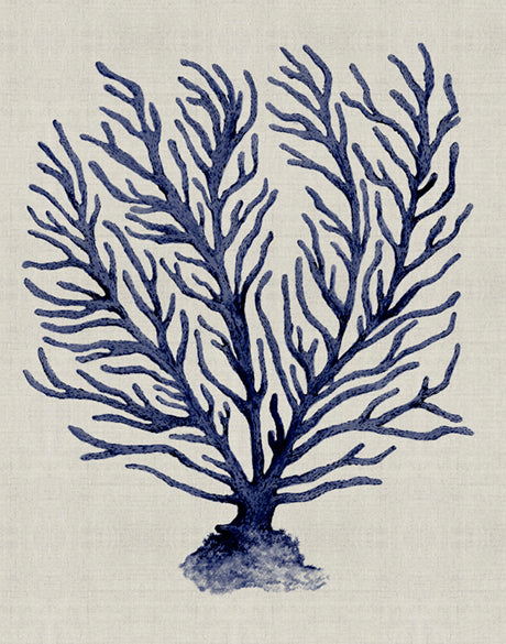 Coral Splendour (Indigo) XII (Canvas)