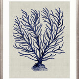 Coral SPLENDOUR (Indigo) XII