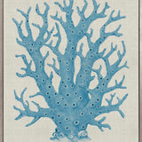 Coral Splendour (Pale Blue) XIII (Canvas)