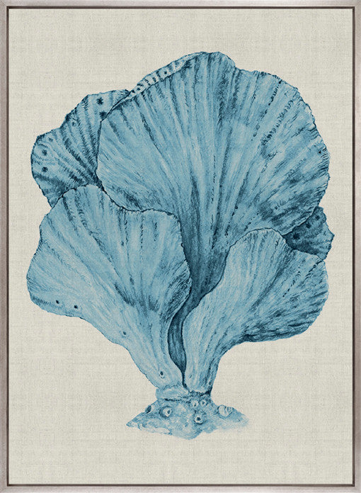 Coral Splendour (Pale Blue) XIV (Canvas)