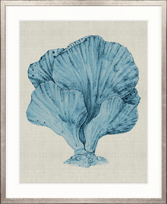 Coral SPLENDOUR (Pale Blue) XIV