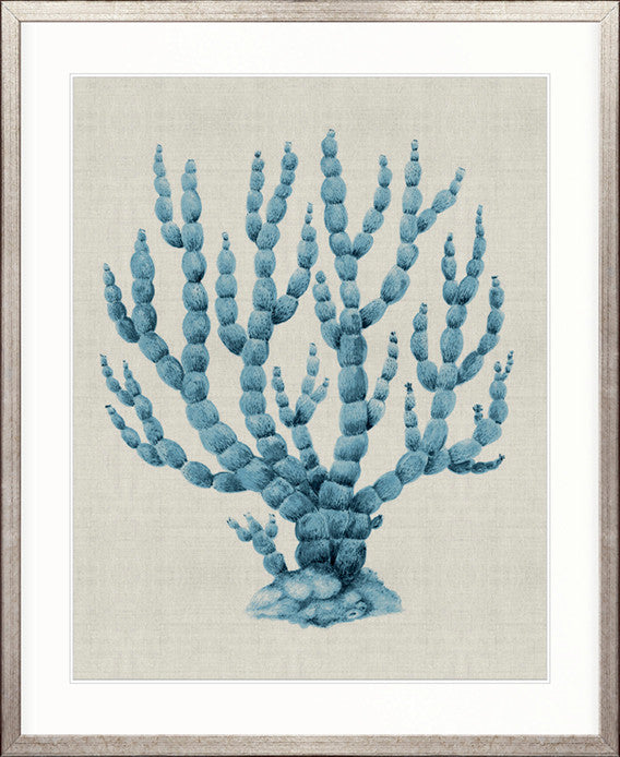 Coral SPLENDOUR (Pale Blue) XV