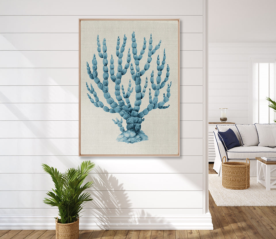 Coral Splendour (Pale Blue) XV (Canvas)