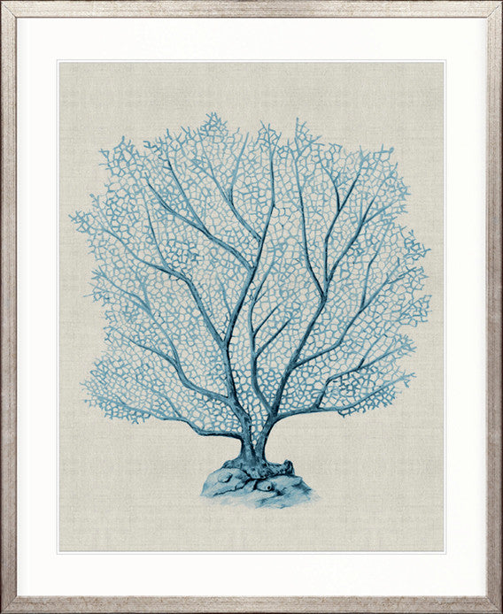 Coral SPLENDOUR (Pale Blue) XVI
