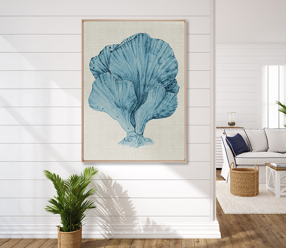 Coral Splendour (Pale Blue) XIV (Canvas)