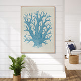 Coral Splendour (Pale Blue) XIII (Canvas)