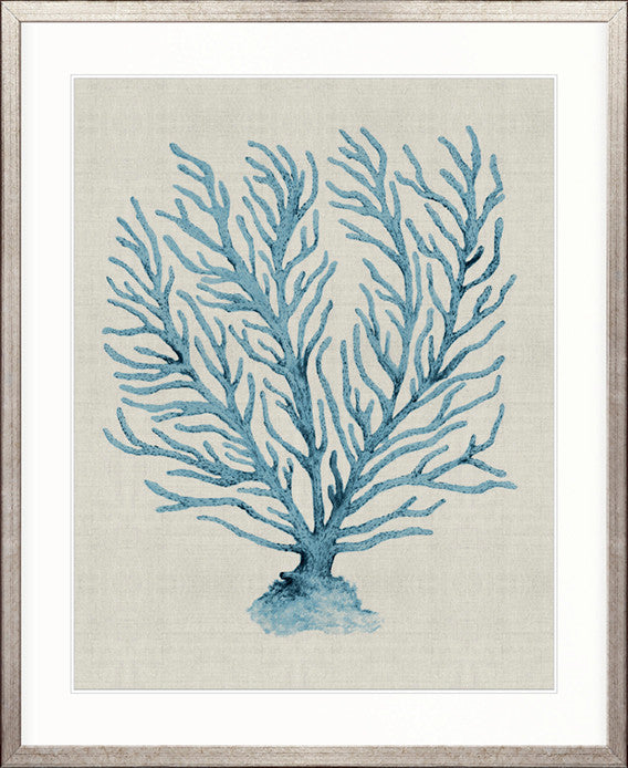 Coral SPLENDOUR (Pale Blue) XVIII