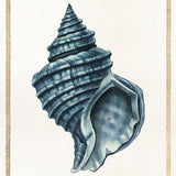 Martyn Shell I (Canvas) Large (860mm W x 860mm H)