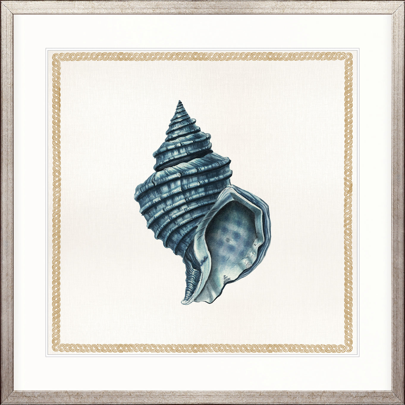 Martyn Shell I
