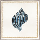 Martyn Shell II (Canvas) Large (860mm W x 860mm H)
