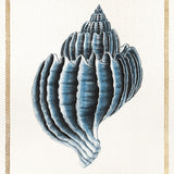 Martyn Shell II (Canvas) Large (860mm W x 860mm H)