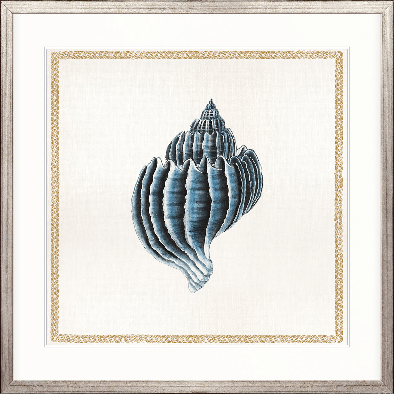 Martyn Shell II