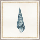 Martyn Shell III (Canvas) Large (860mm W x 860mm H)