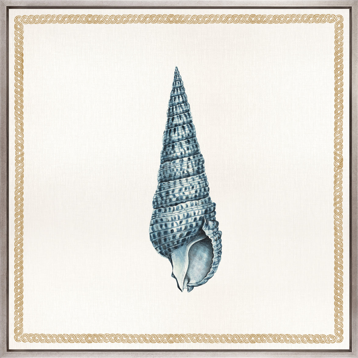 Martyn Shell III (Canvas)