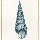 Martyn Shell III (Canvas) Large (860mm W x 860mm H)