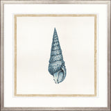 Martyn Shell III Small (550mm W x 550mm H) / Standard Clear Glass