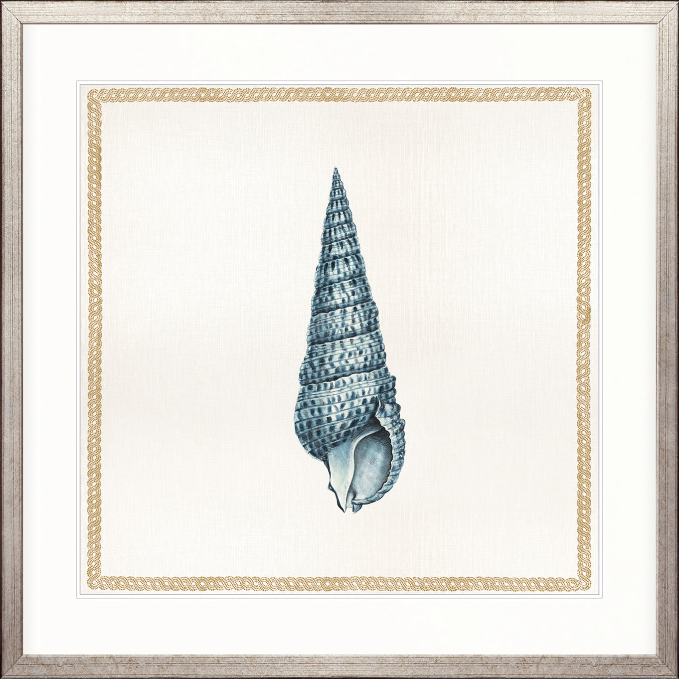 Martyn Shell III