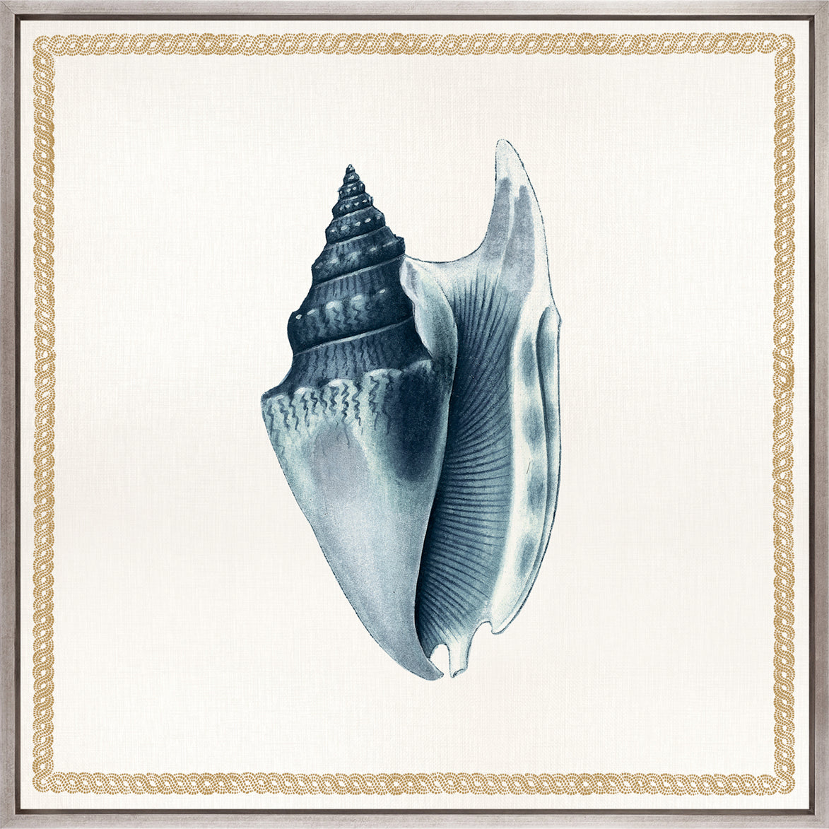 Martyn Shell IV (Canvas)