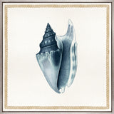 Martyn Shell IV (Canvas) Large (860mm W x 860mm H)