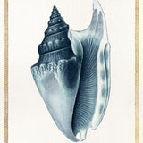 Martyn Shell IV (Canvas) Large (860mm W x 860mm H)