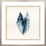 Martyn Shell IV Small (550mm W x 550mm H) / Standard Clear Glass