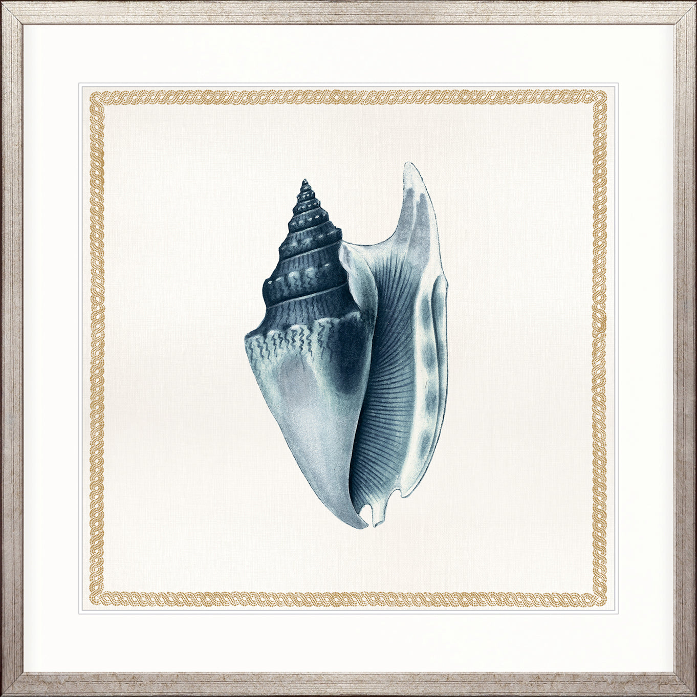 Martyn Shell IV