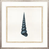 Martyn Shell V Small (550mm W x 550mm H) / Standard Clear Glass