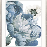 Mayfair Floral VIII