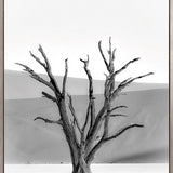 Mercer Black & White VII (Canvas)