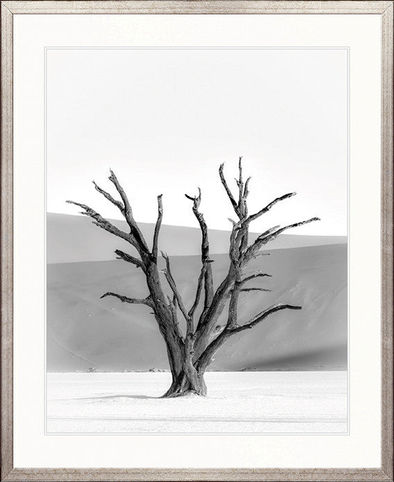 Mercer Black & White VII
