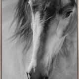 Mercer Black & White XI (Canvas)